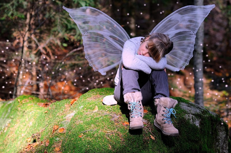 Fairy Wing Crafting